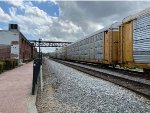 TTGX 254388
